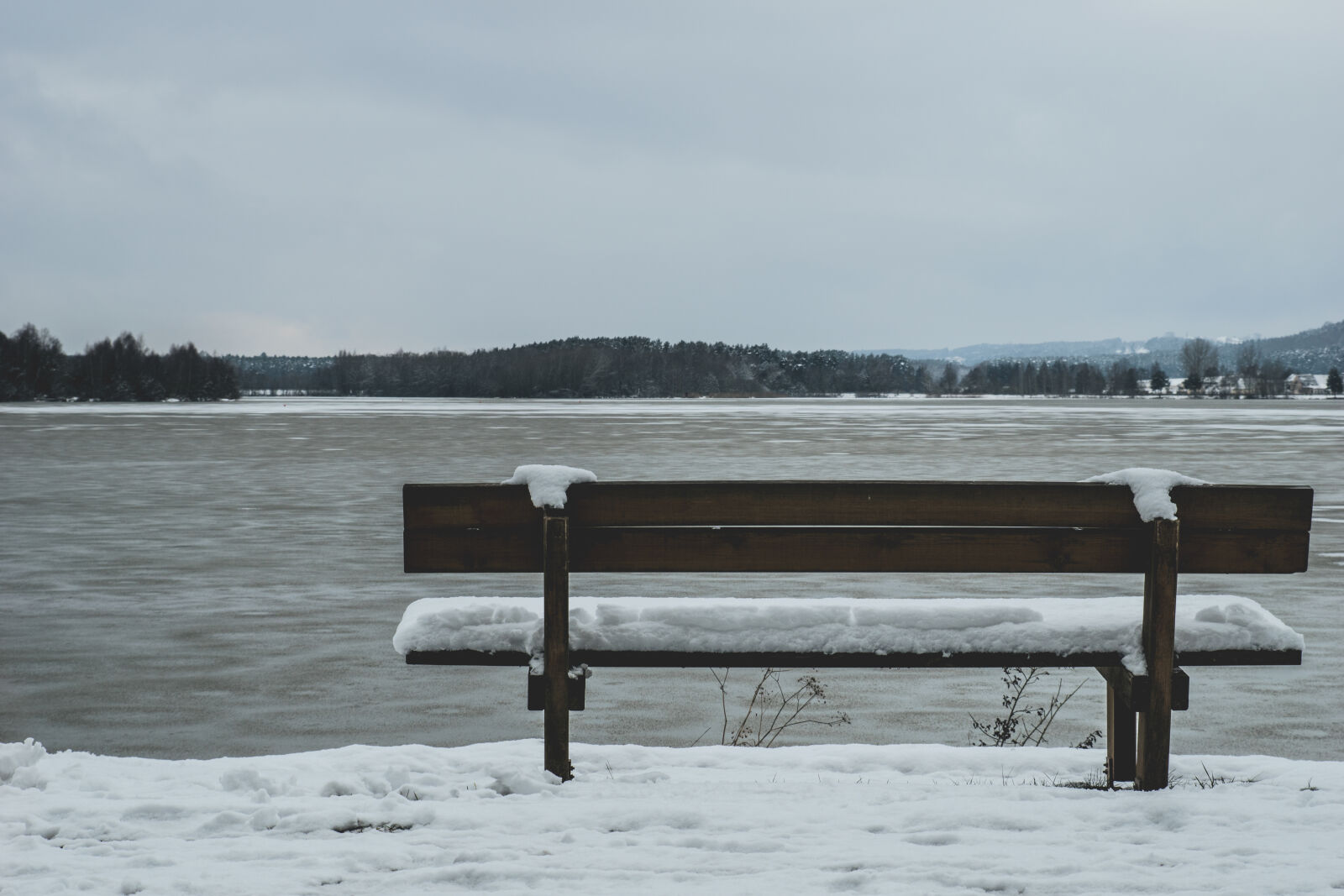 24-70mm F2.8-2.8 SSM sample photo. Bench, cold, frost, frosty photography