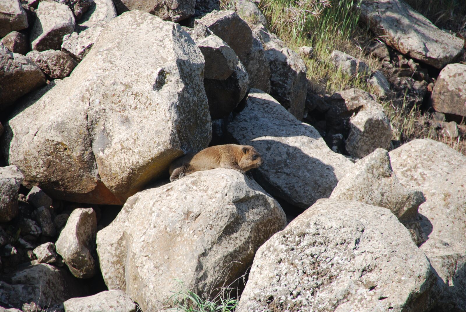 Nikon D80 sample photo. Conny, rocks, nature photography