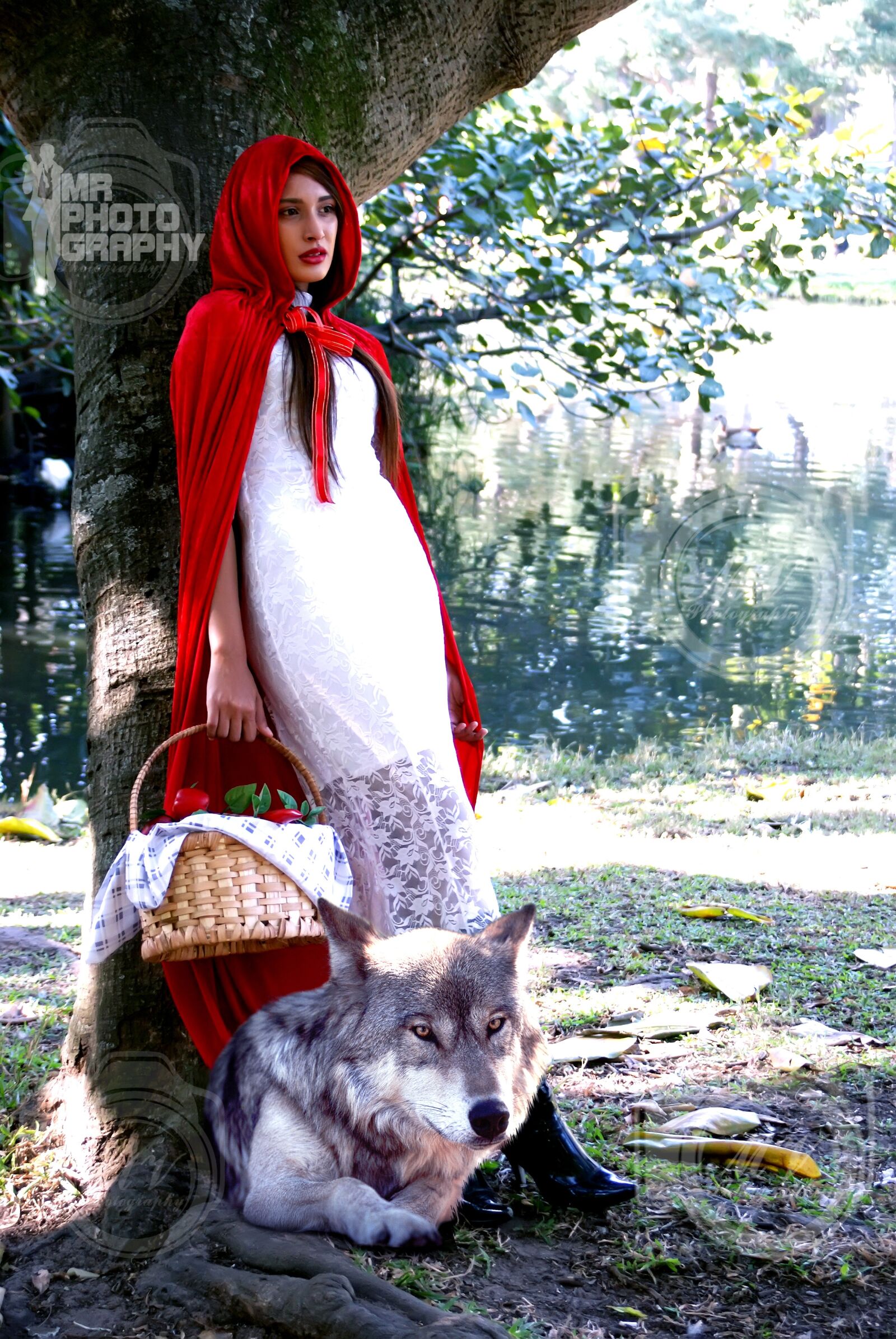 Sony Alpha DSLR-A230 sample photo. Red, riding, hood photography