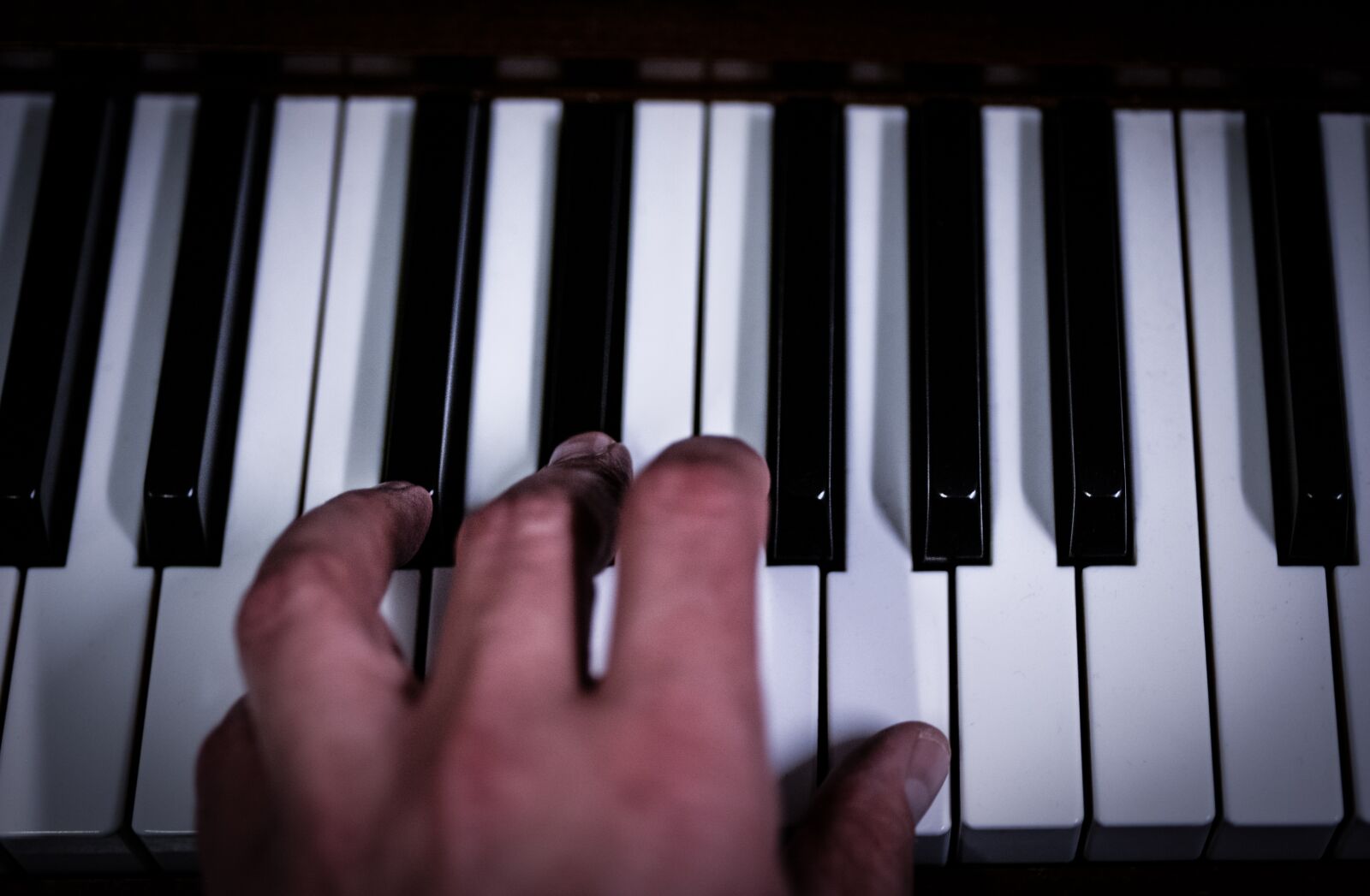 Nikon D610 sample photo. Keys, piano, close up photography