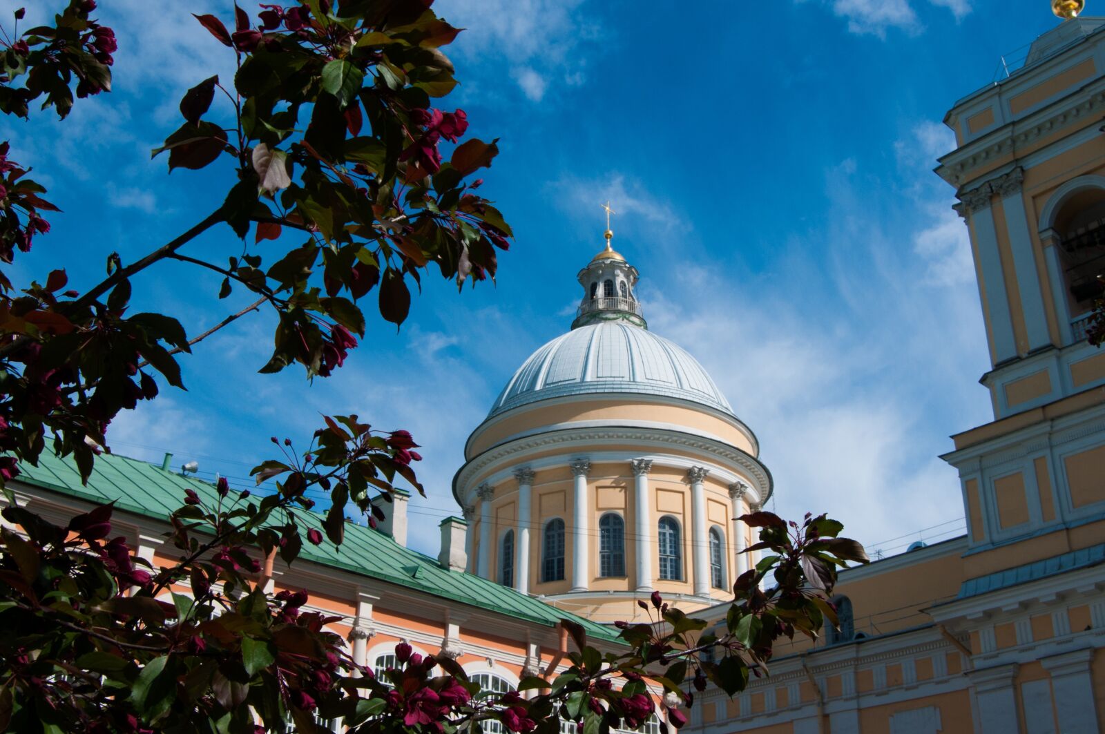 Nikon D300S sample photo. Architecture, laurel, alexander nevsky photography