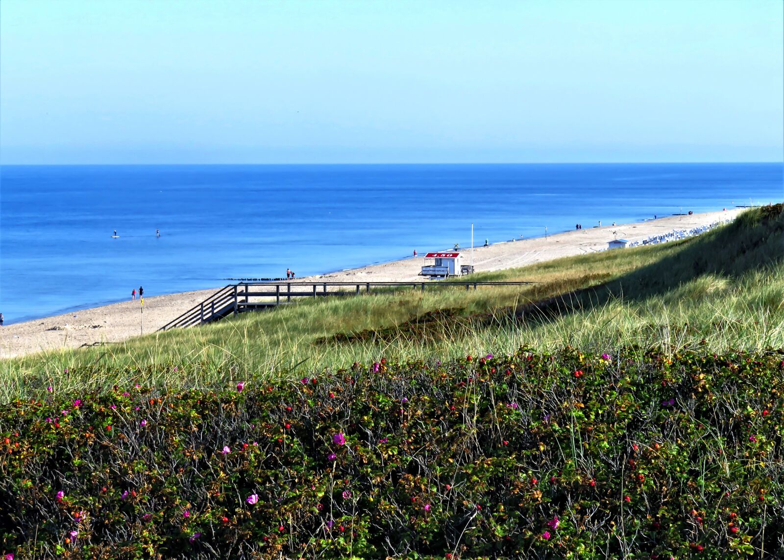Canon PowerShot SX710 HS sample photo. Sea, sand beach, dunes photography