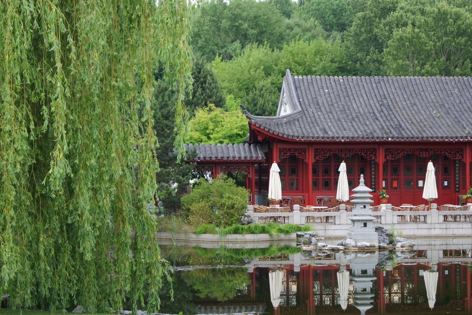 Sony Alpha DSLR-A500 sample photo. Chinese garden, berlin, wood photography