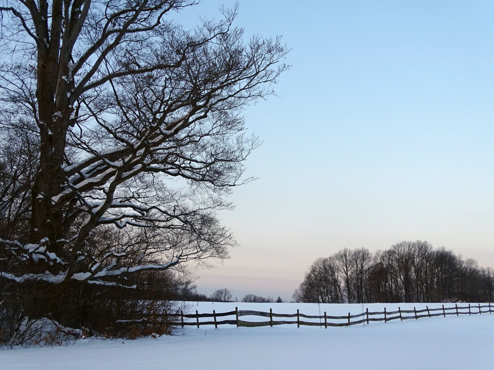 Sony Cyber-shot DSC-HX400V sample photo. Winter, wood, snow photography