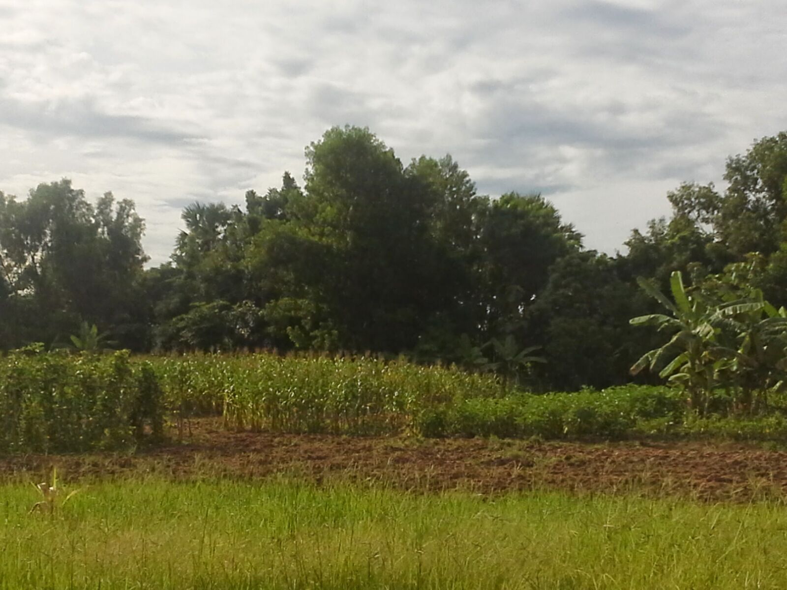 Samsung Galaxy Note 10.1 sample photo