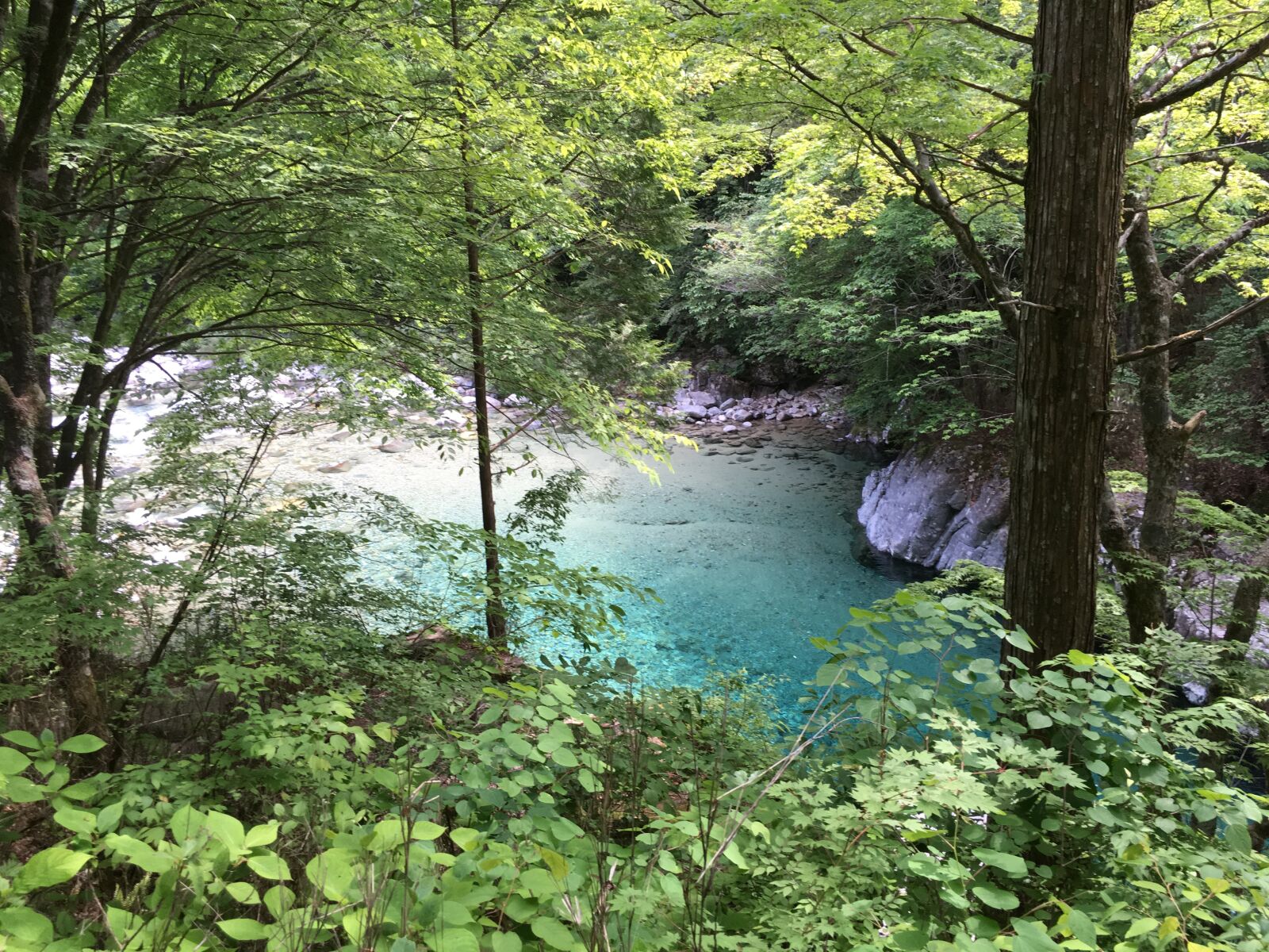 iPhone SE back camera 4.15mm f/2.2 sample photo. River, blue, natural photography