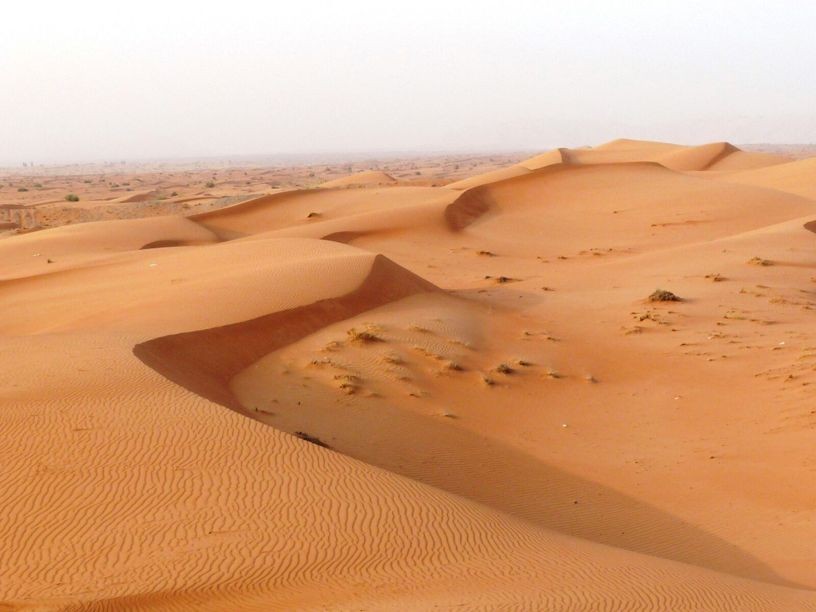 Panasonic Lumix DMC-FZ28 sample photo. Desert, sand, dune photography