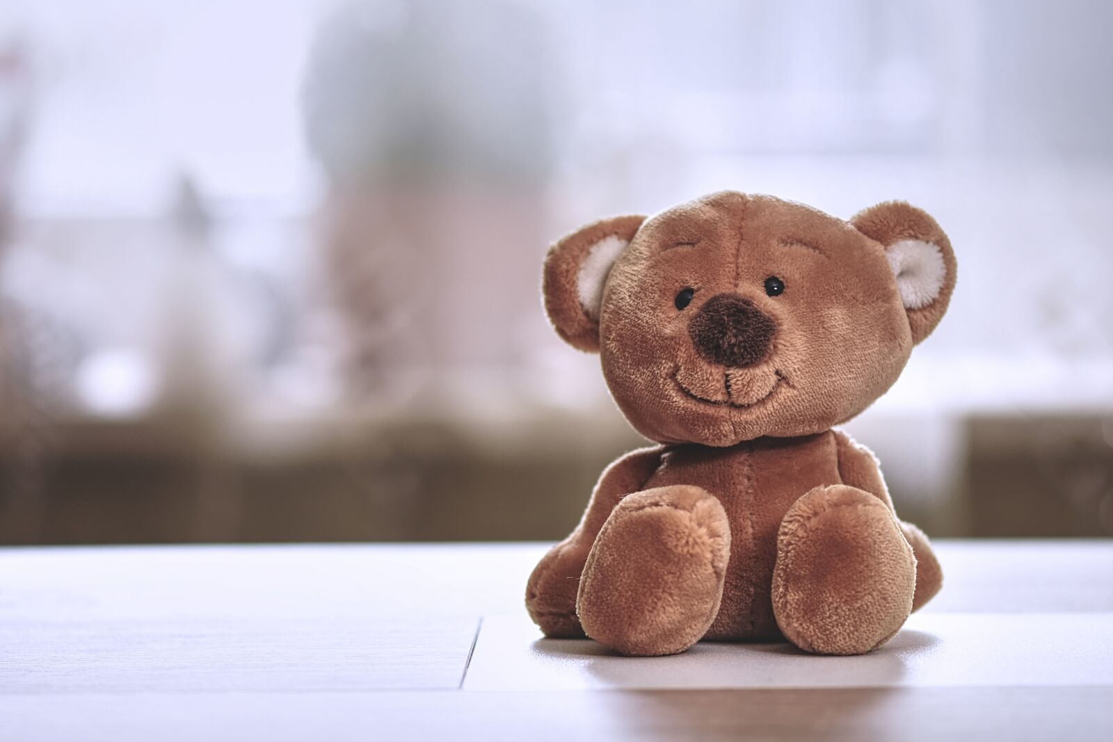 Nikon D7200 sample photo. Teddy, stuffed animal, funny photography