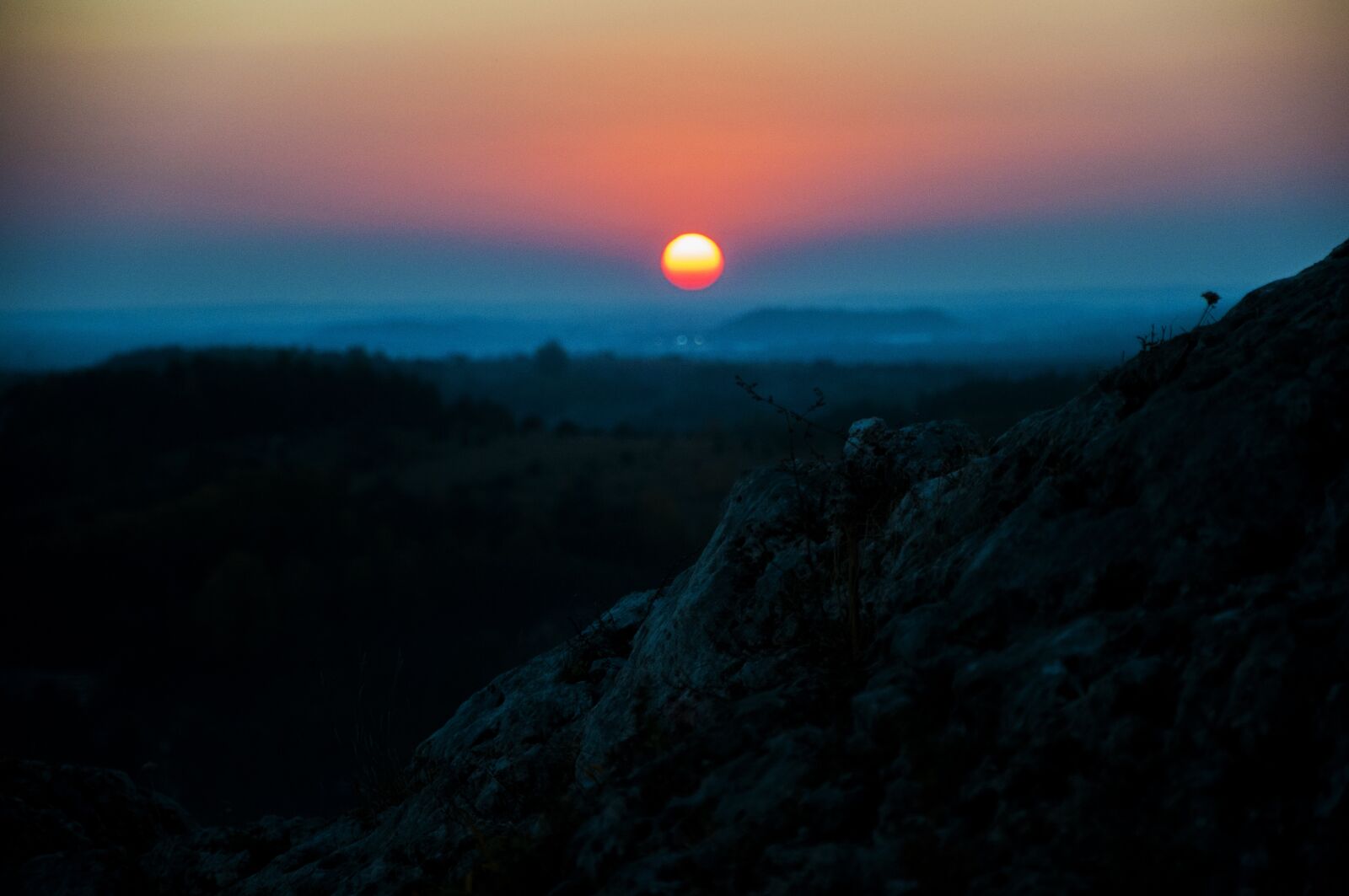 Nikon D90 sample photo. Sunset, nature, forest photography