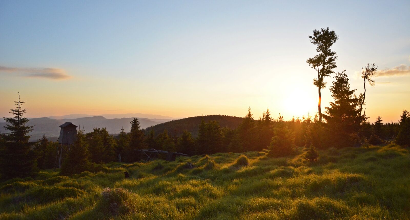 Nikon D5200 sample photo. Great owl, travel, mountains photography