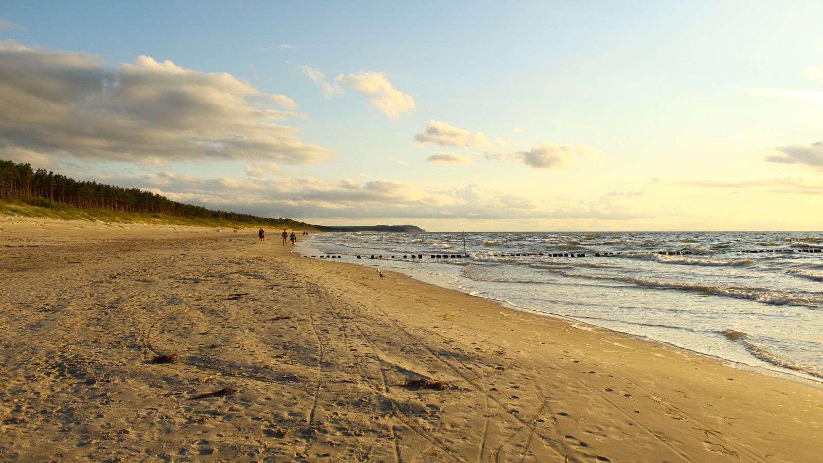 Canon EOS 4000D (EOS Rebel T100 / EOS 3000D) sample photo. Beach, the baltic sea photography