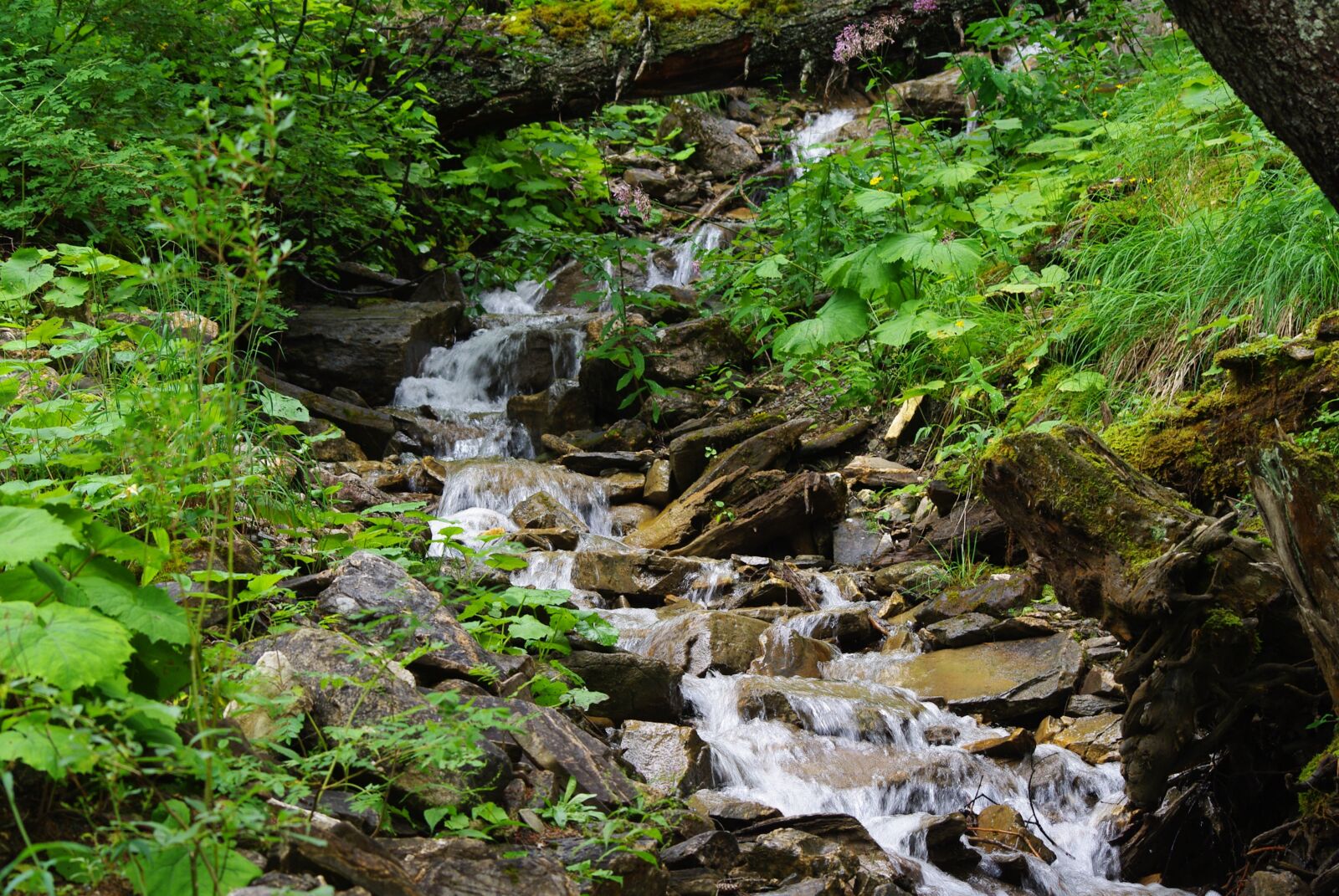 Pentax K200D sample photo. Mountain stream, stream, brook photography