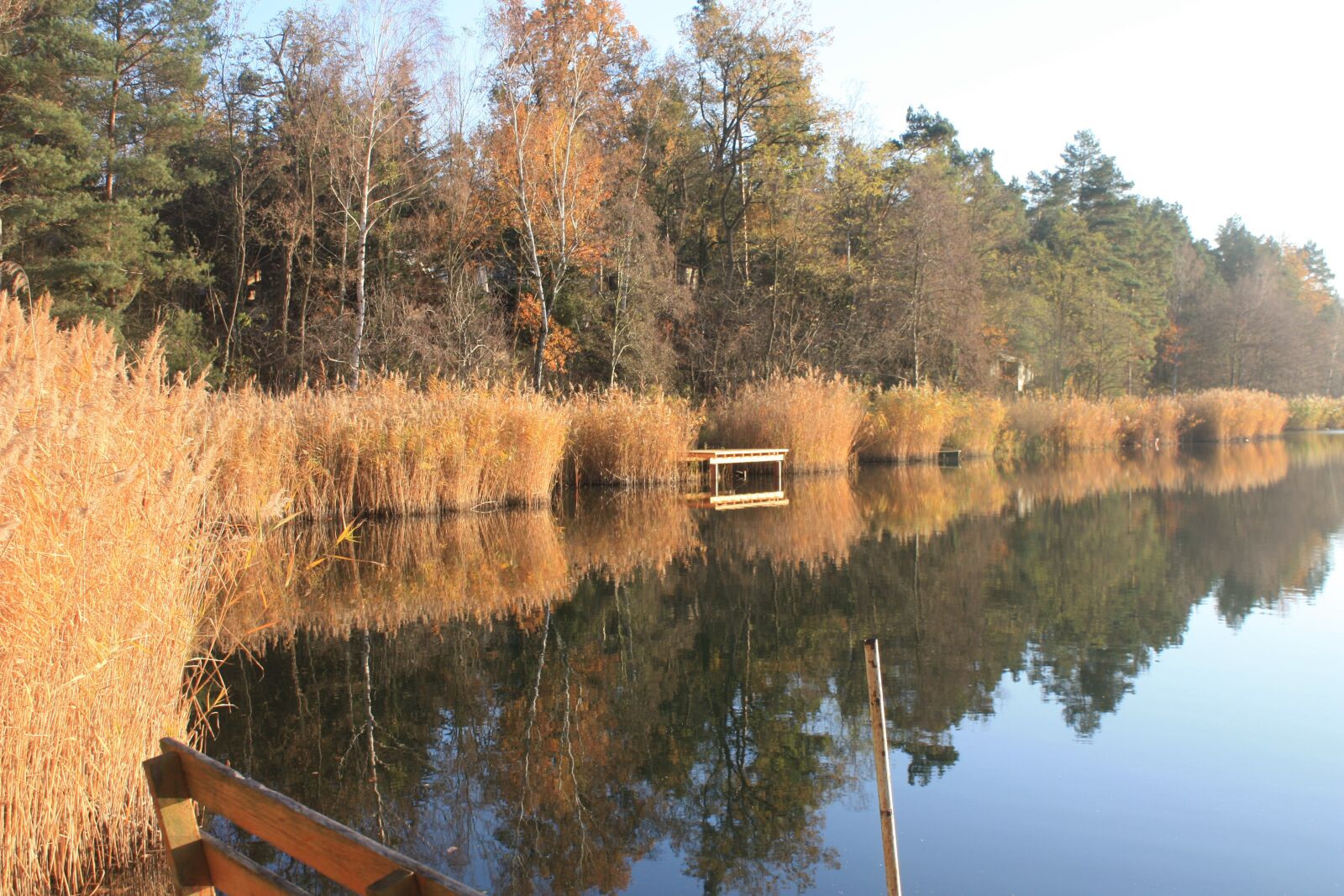 Canon EOS 450D (EOS Rebel XSi / EOS Kiss X2) sample photo. Lake, web, water photography