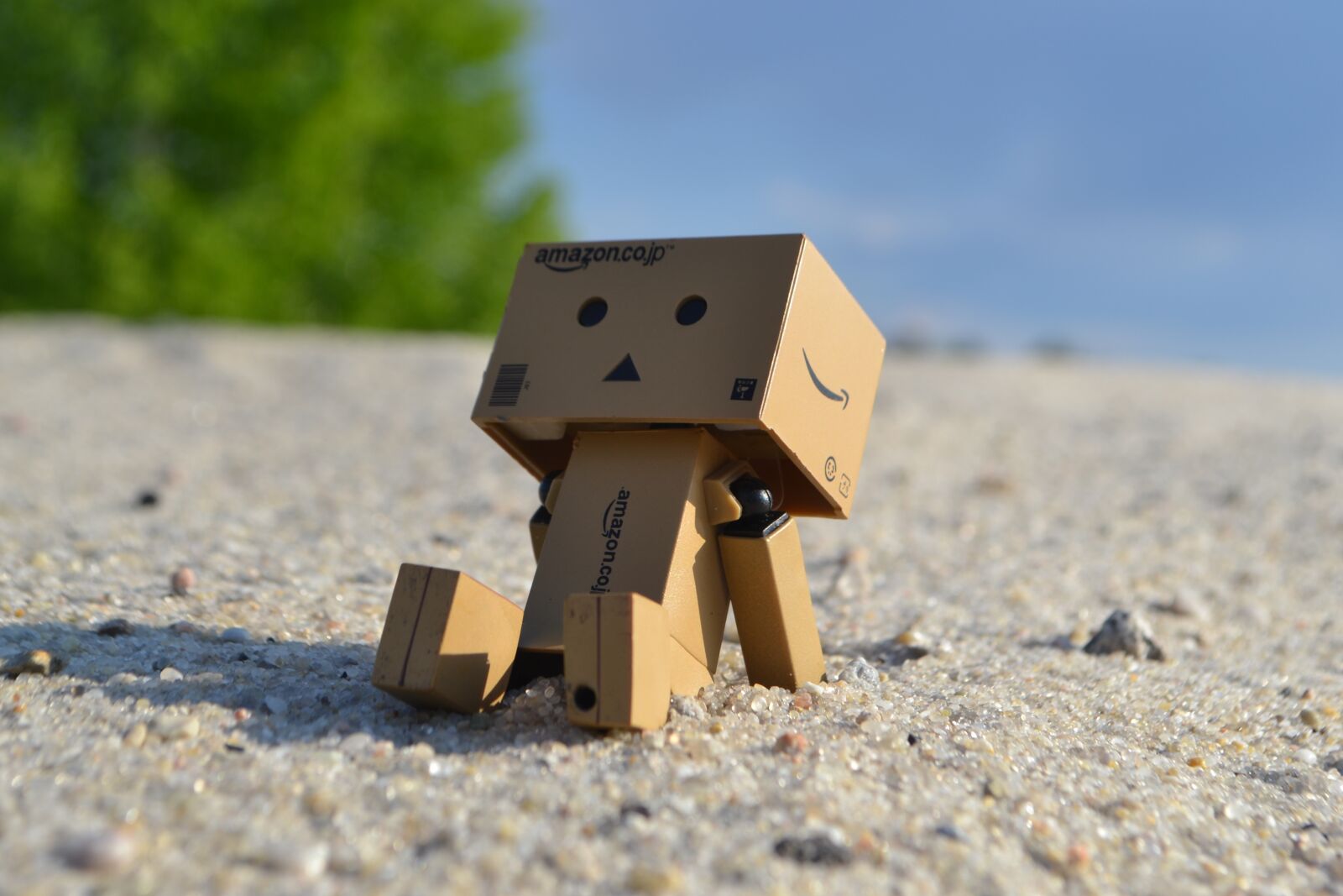 Nikon D3100 sample photo. Danby, toy, statuette photography