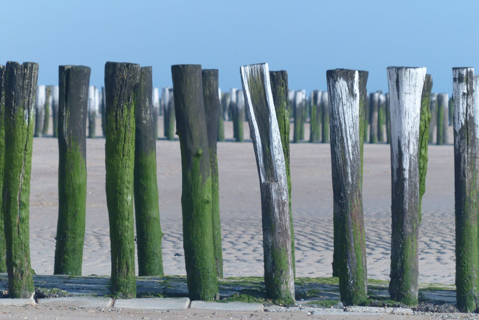 Panasonic Lumix DMC-FZ200 sample photo. Palisades, walcheren, sea wall photography