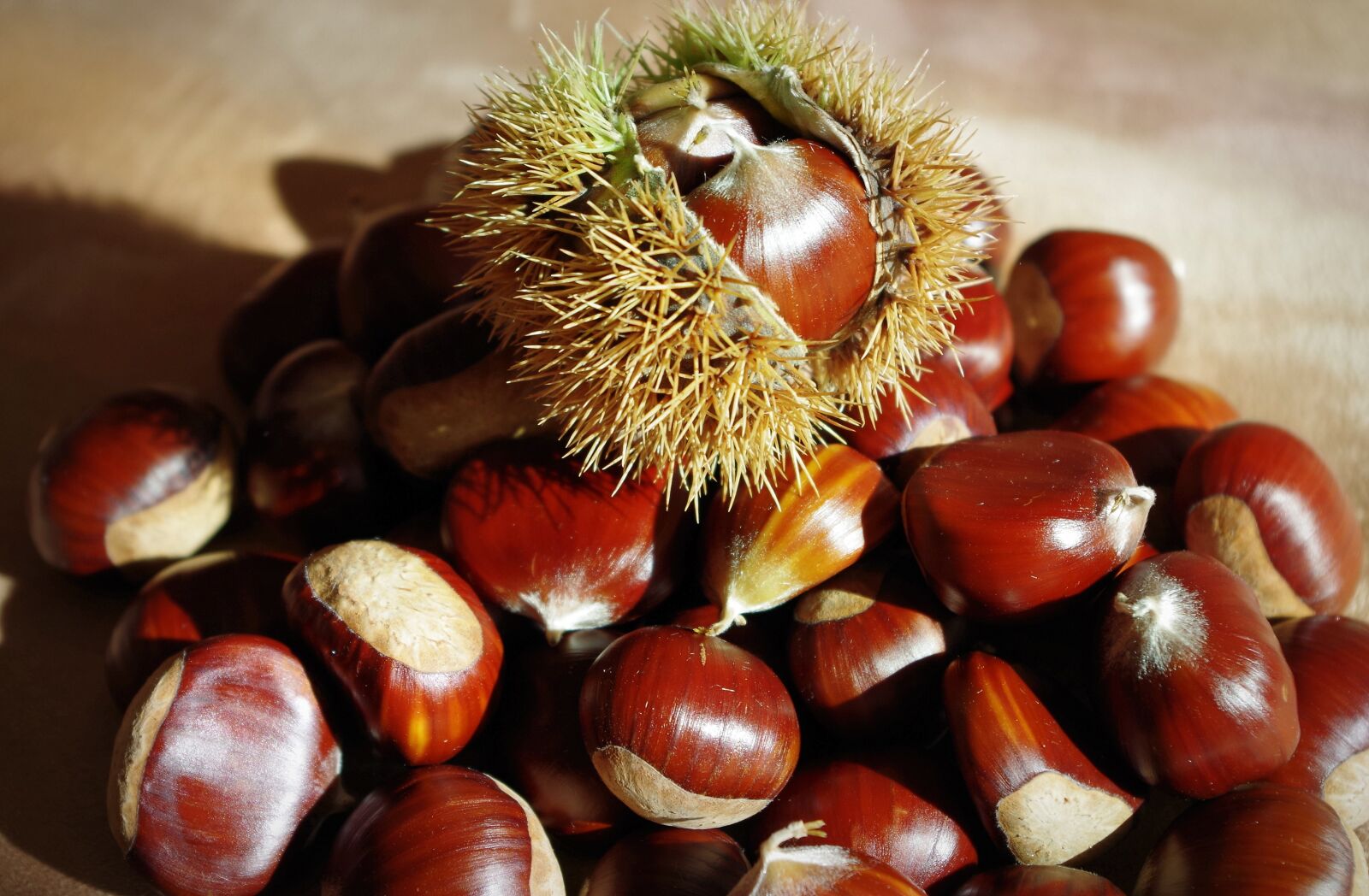 Pentax K-30 sample photo. Sweet chestnuts, maroni, chestnut photography
