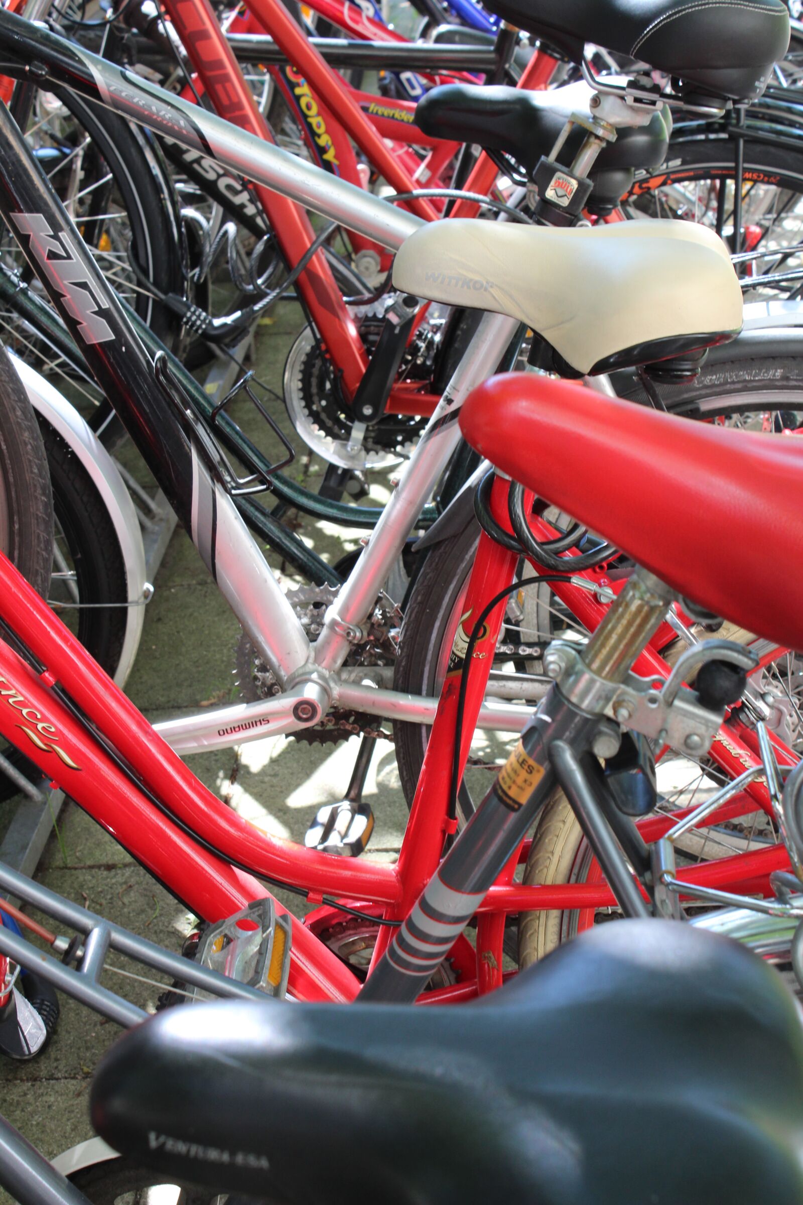 Canon EOS 1300D (EOS Rebel T6 / EOS Kiss X80) sample photo. Bike, saddle, bicycles photography