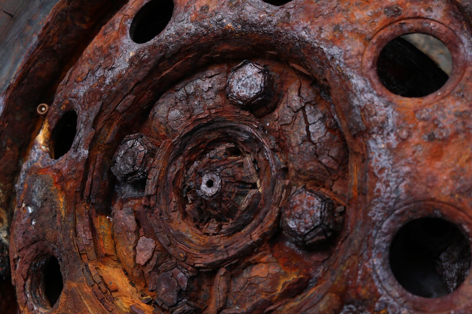 Canon EOS 750D (EOS Rebel T6i / EOS Kiss X8i) sample photo. Rust, close up, metal photography