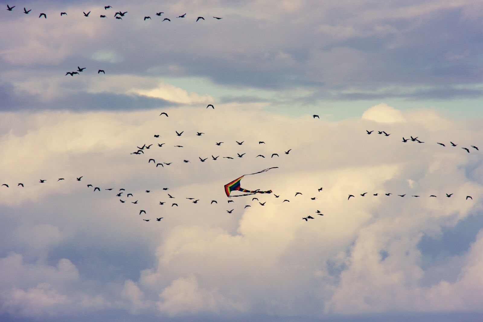 Canon EOS 1200D (EOS Rebel T5 / EOS Kiss X70 / EOS Hi) sample photo. Dragons, birds, flying photography