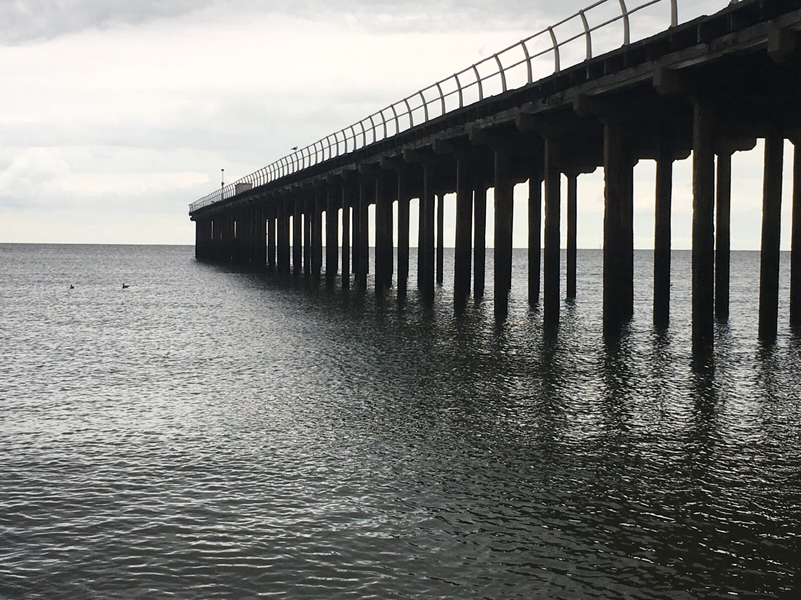 iPhone SE back camera 4.15mm f/2.2 sample photo. Pier, sea, wood photography