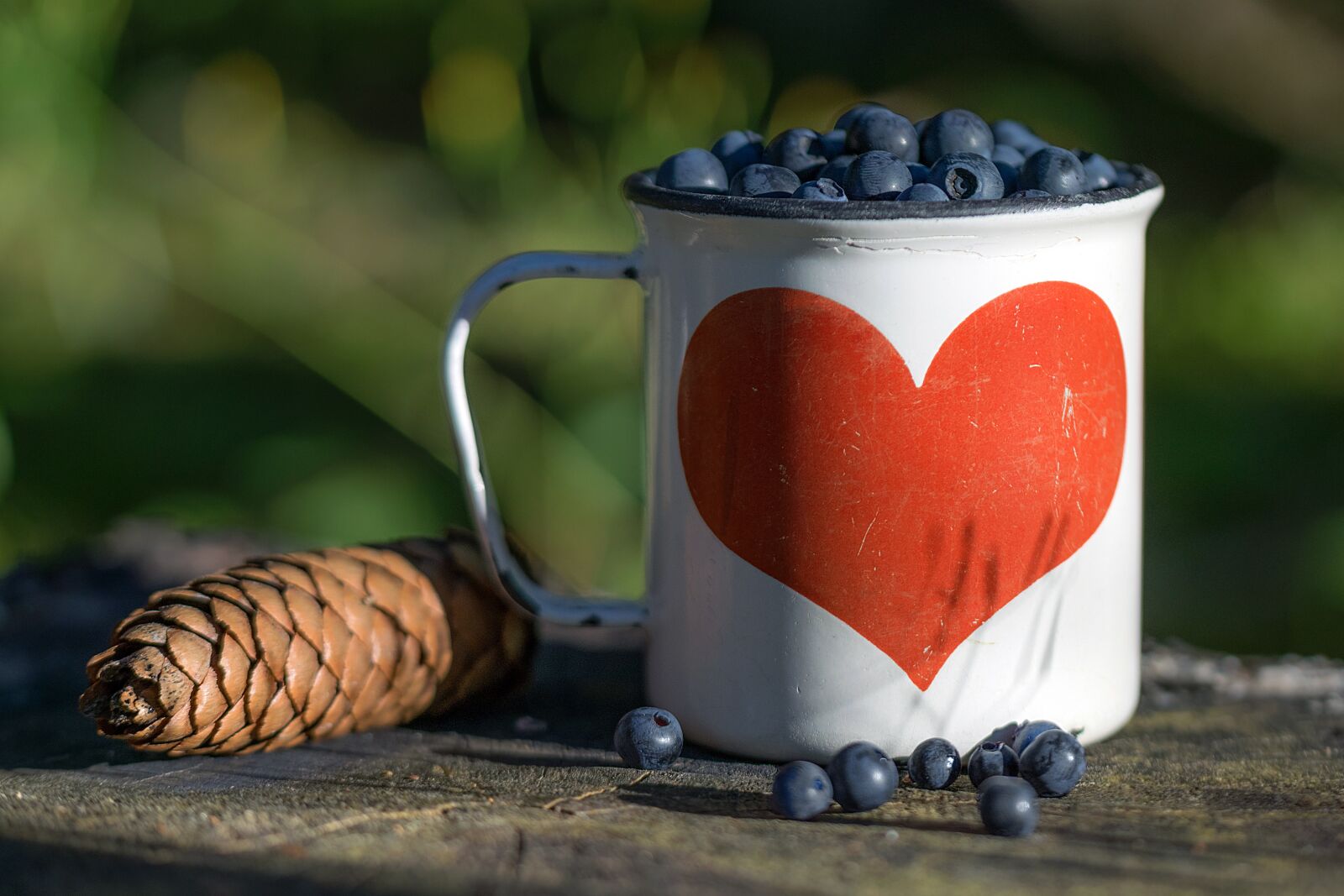Nikon D3300 sample photo. Blueberry, cone, mug photography
