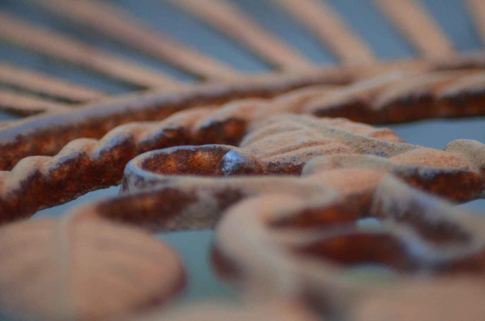 Nikon D5100 sample photo. Iron, garden furniture, garden photography