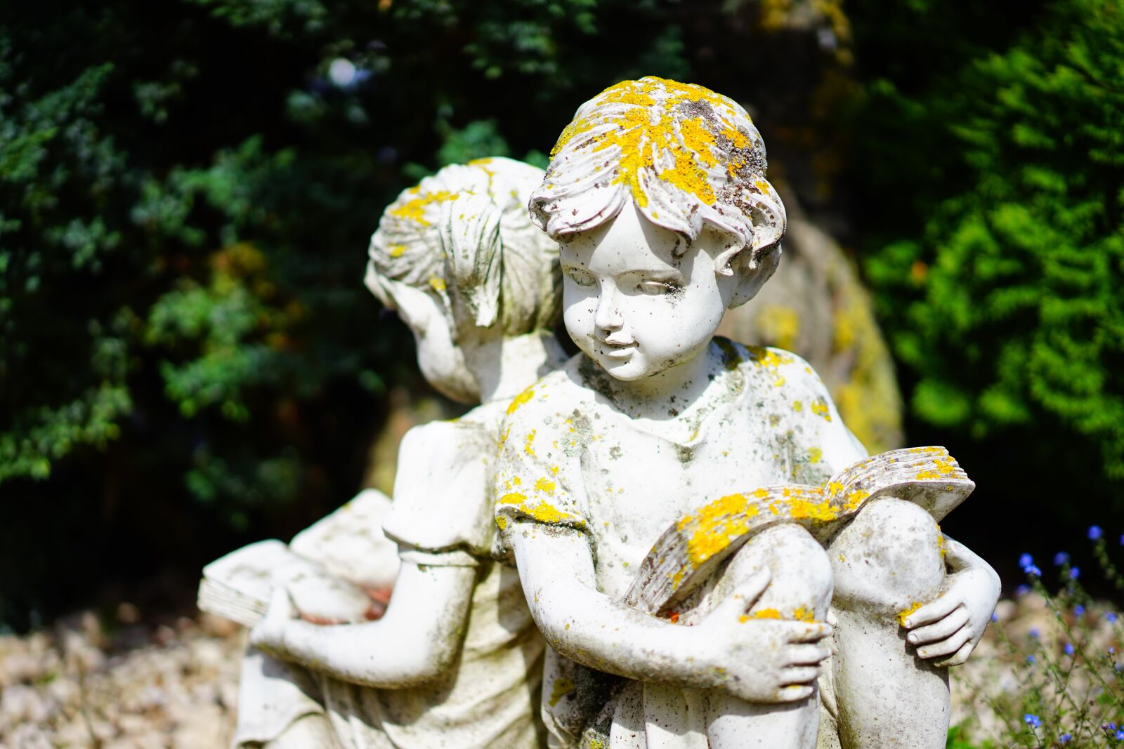 Sony a7 + Sony Sonnar T* FE 55mm F1.8 ZA sample photo. Stone figure, girl, read photography