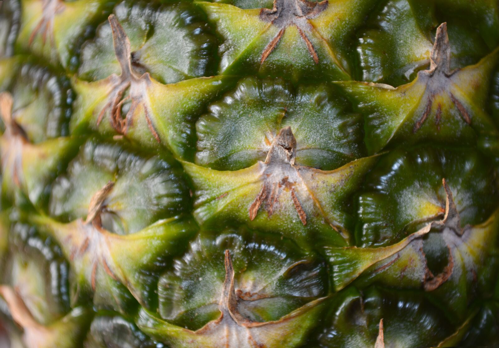 Nikon D5200 sample photo. Pineapple, skin, fruit photography