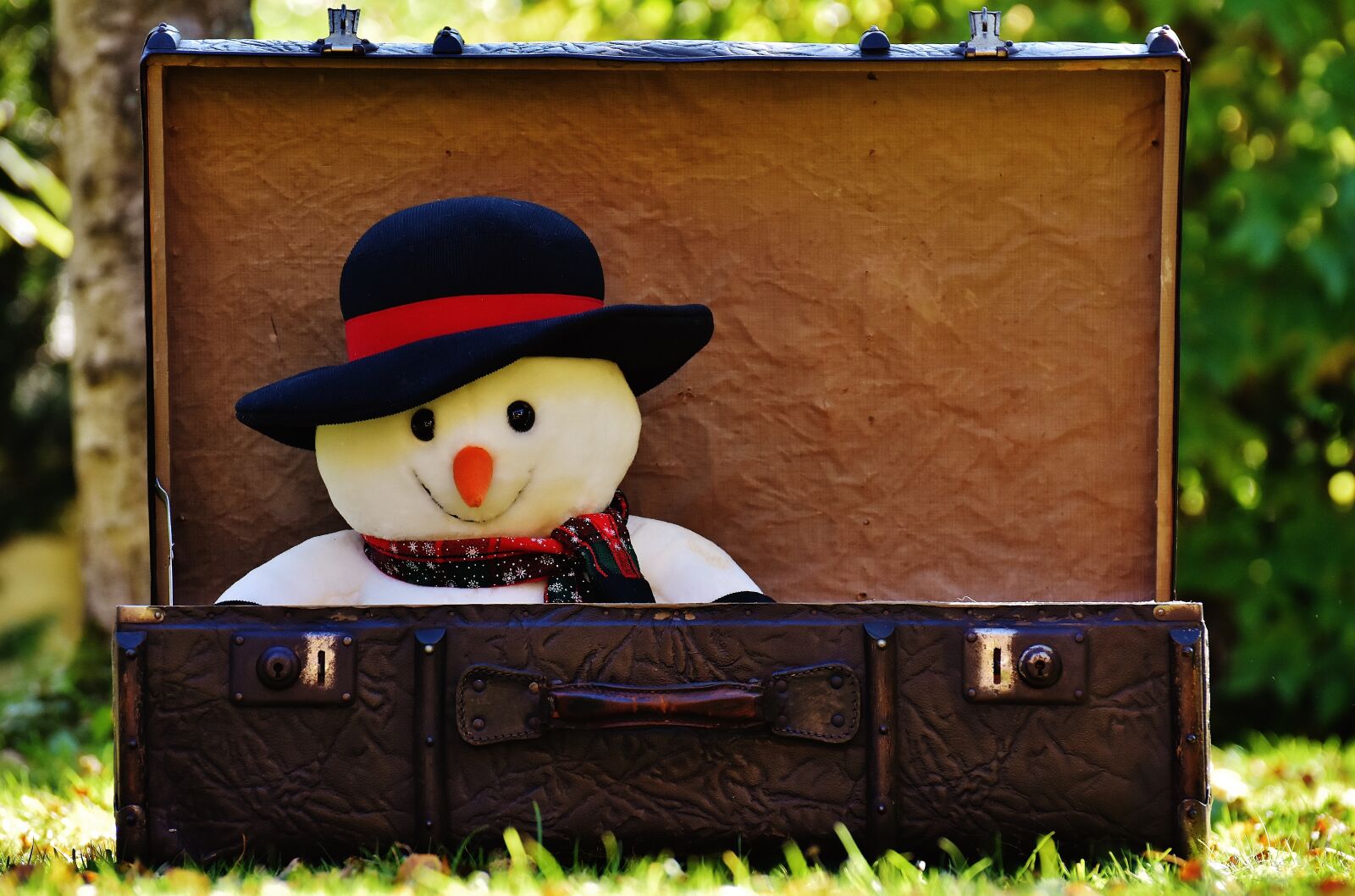 Nikon D7200 sample photo. Winter ade, snowman, send photography