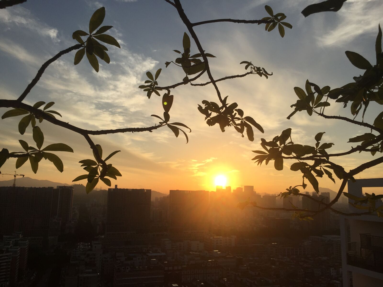 iPhone 6 back camera 4.15mm f/2.2 sample photo. Shenzhen, morning, sunrise photography