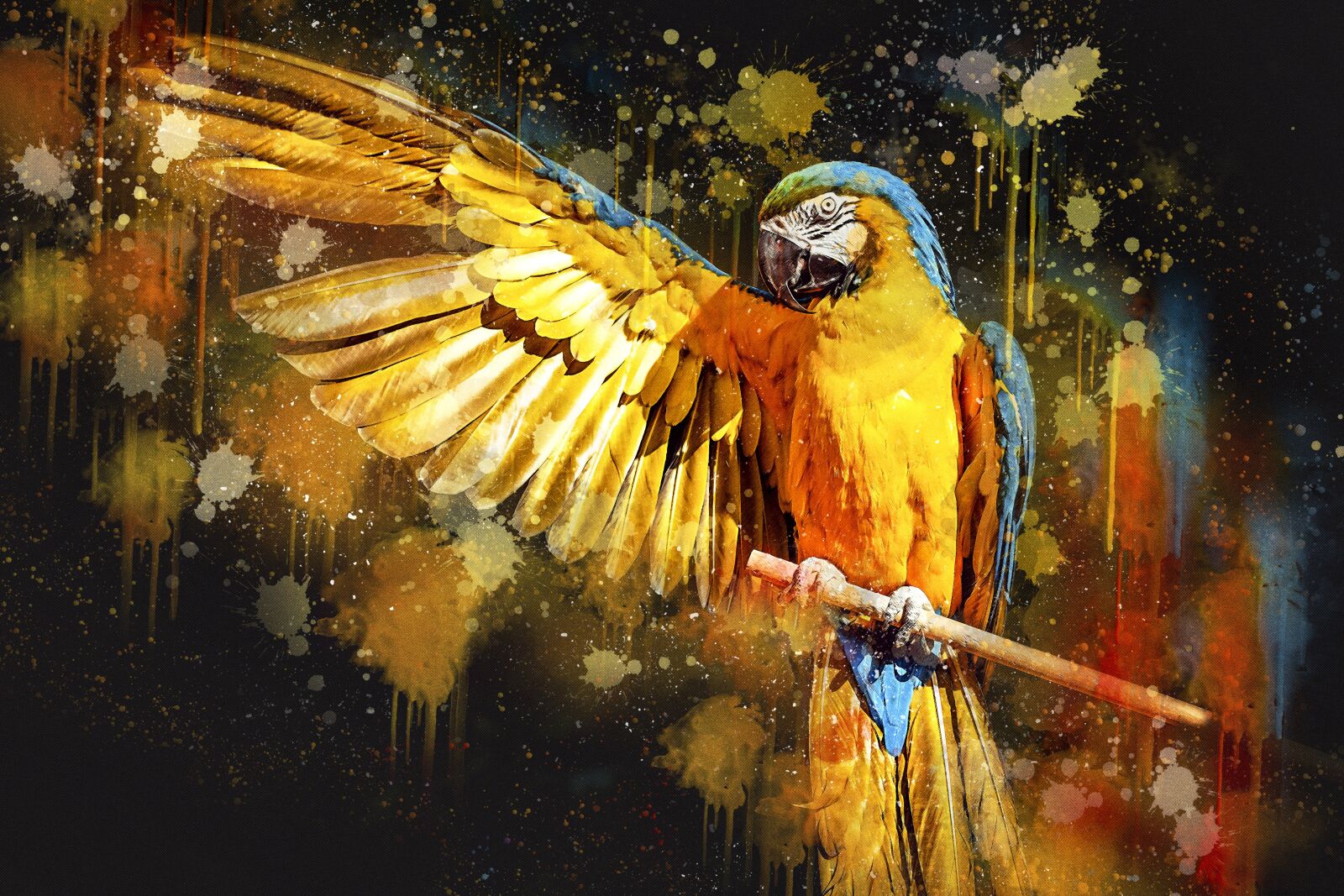 Fujifilm XF 55-200mm F3.5-4.8 R LM OIS sample photo. Ara, parrot, yellow macaw photography