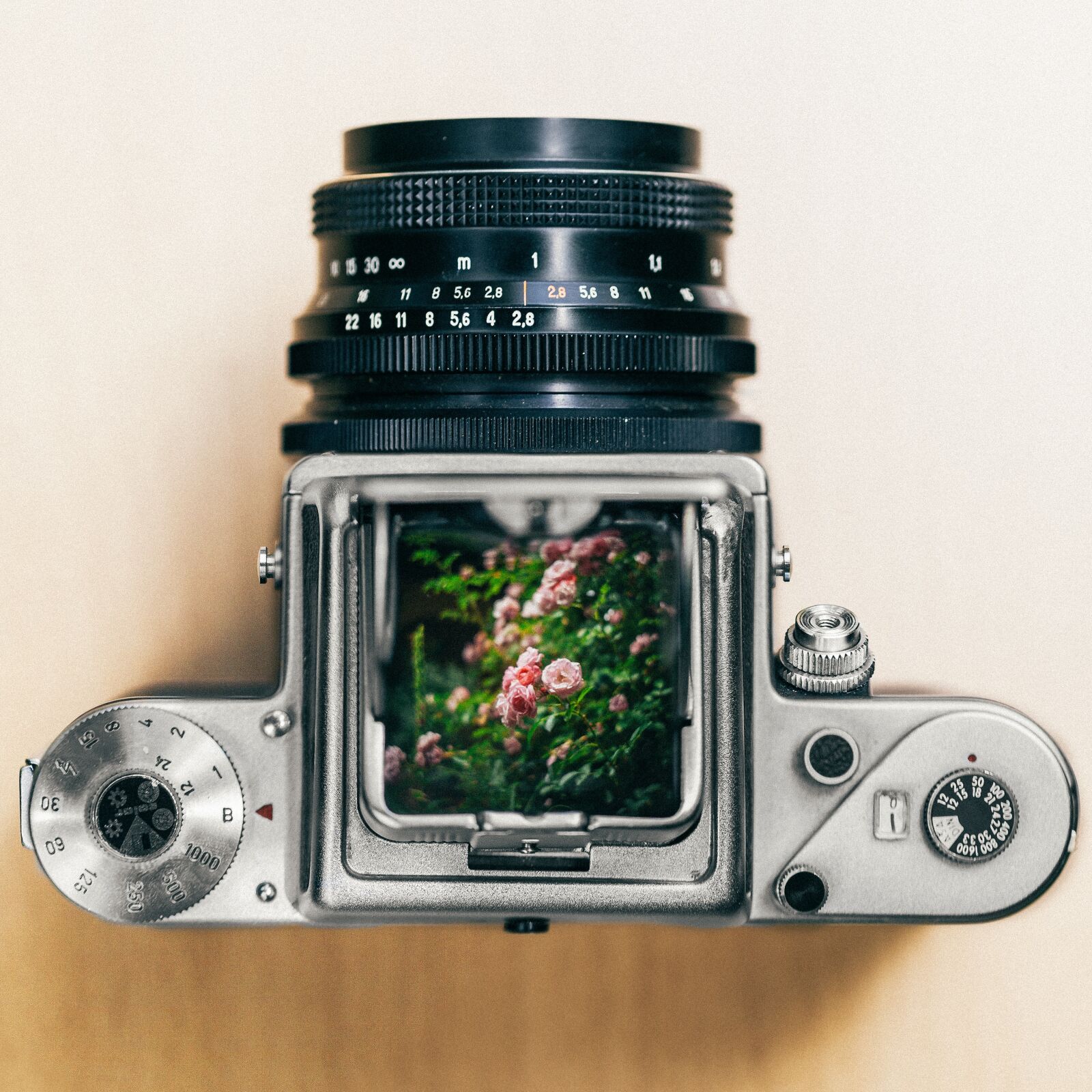 Canon EF 100mm F2.8L Macro IS USM sample photo. Pentacon, medium format, camera photography