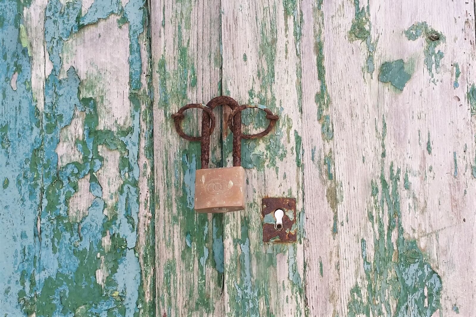 Samsung Galaxy S5 sample photo. Old door, old castle photography