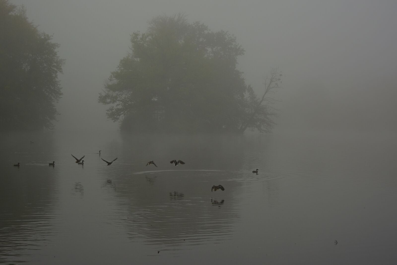 Nikon D5200 sample photo. Fog, lake, landscape photography