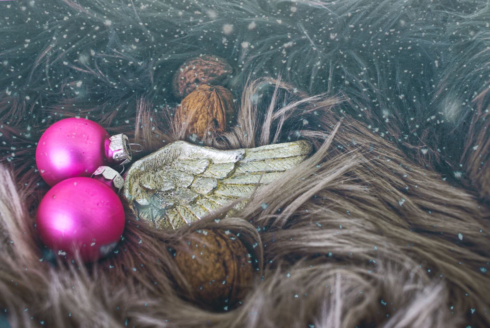 Canon EF-S 24mm F2.8 STM sample photo. Christmas, greeting card, christmas photography