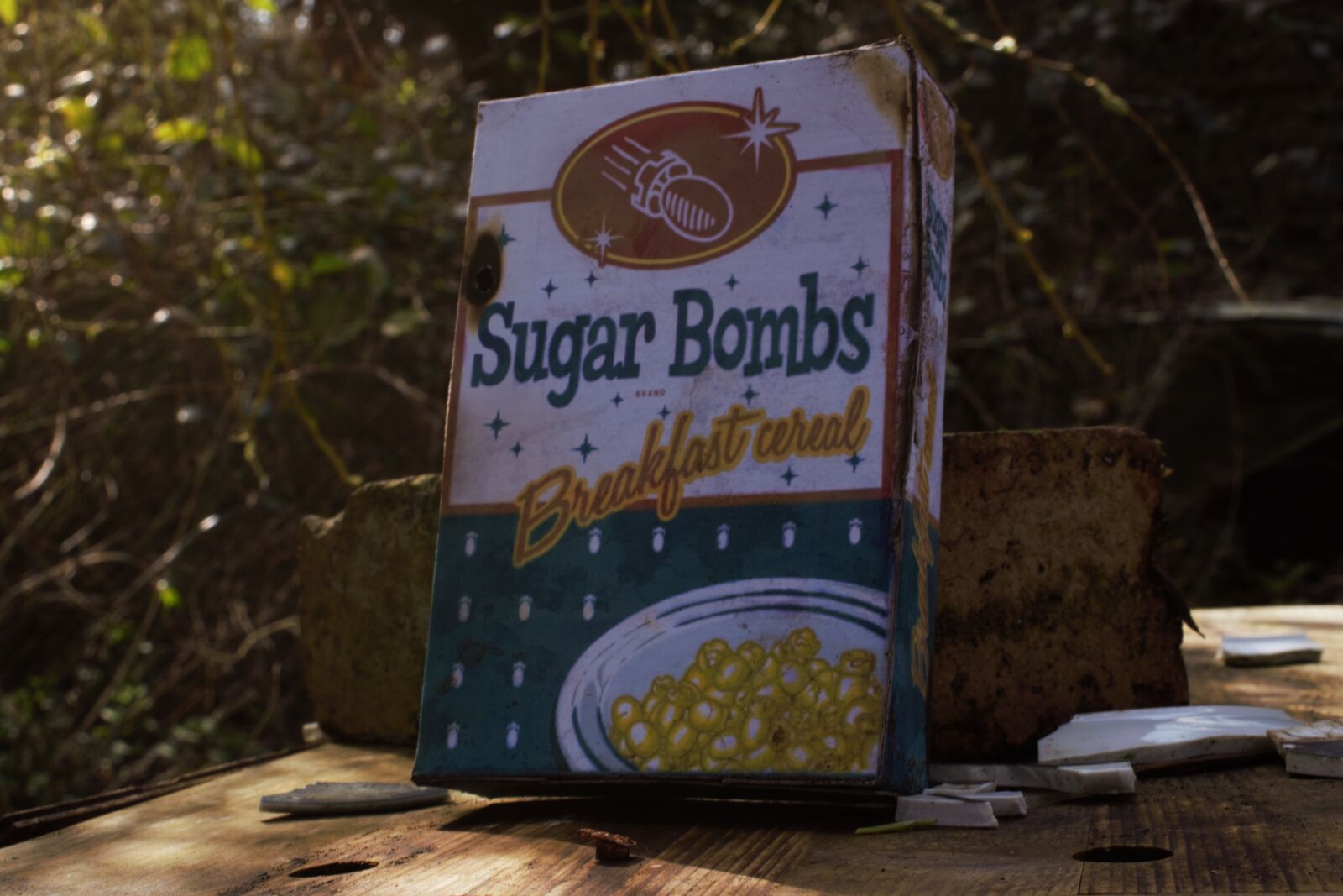 Nikon D3300 sample photo. Fallout, game, prop photography