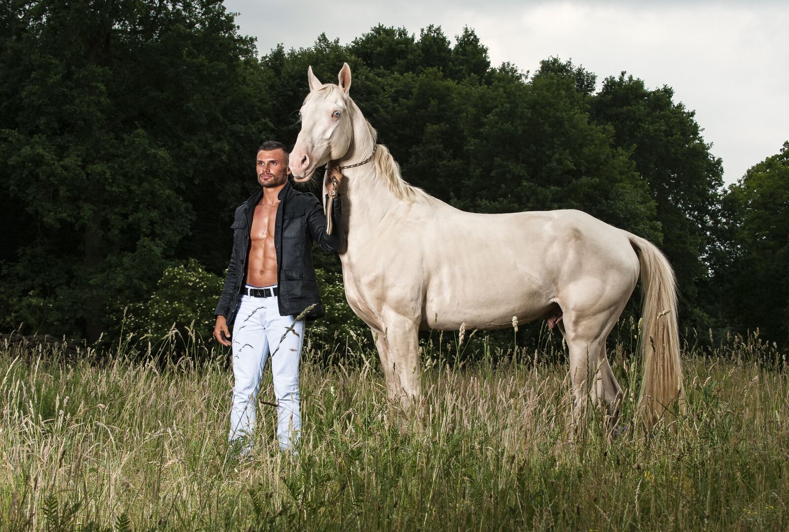 Nikon D700 sample photo. Horse, portrait, eric kr photography