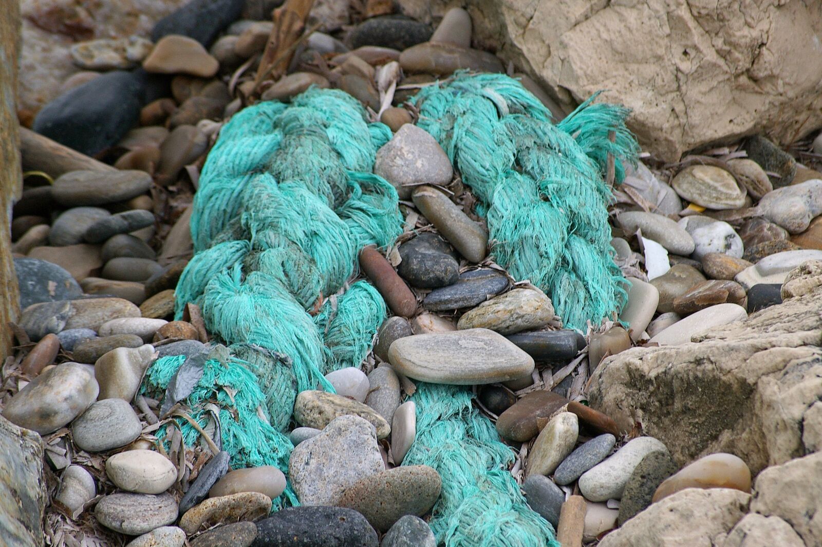 Pentax *ist DL2 sample photo. Flotsam, beach, sea photography