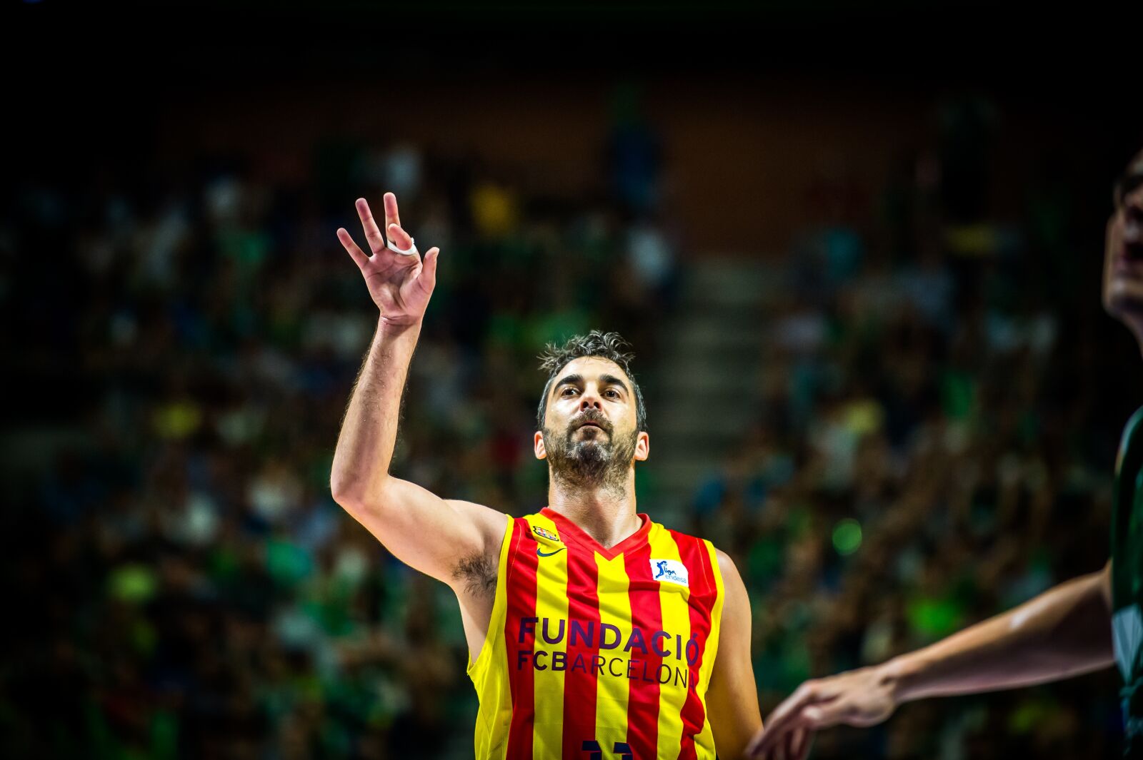 Nikon D4 sample photo. Basketball, cup king, sport photography