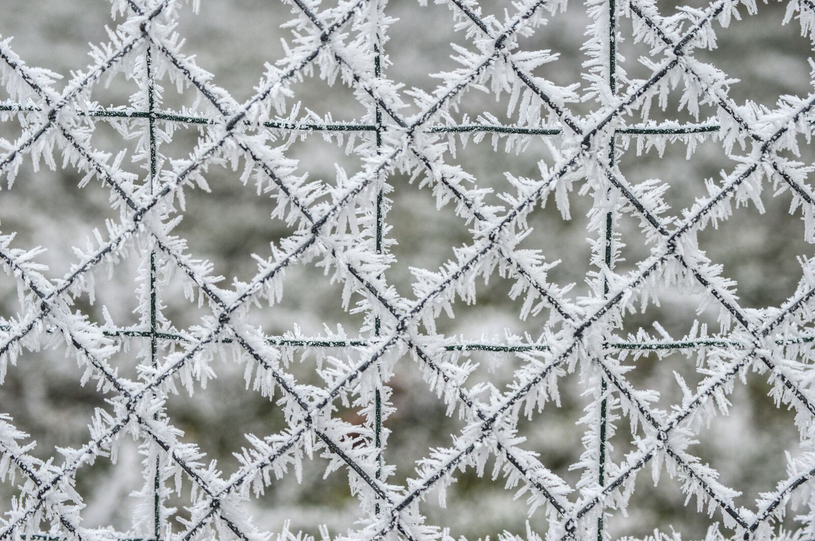 Nikon D3200 sample photo. Gel, winter, closing photography