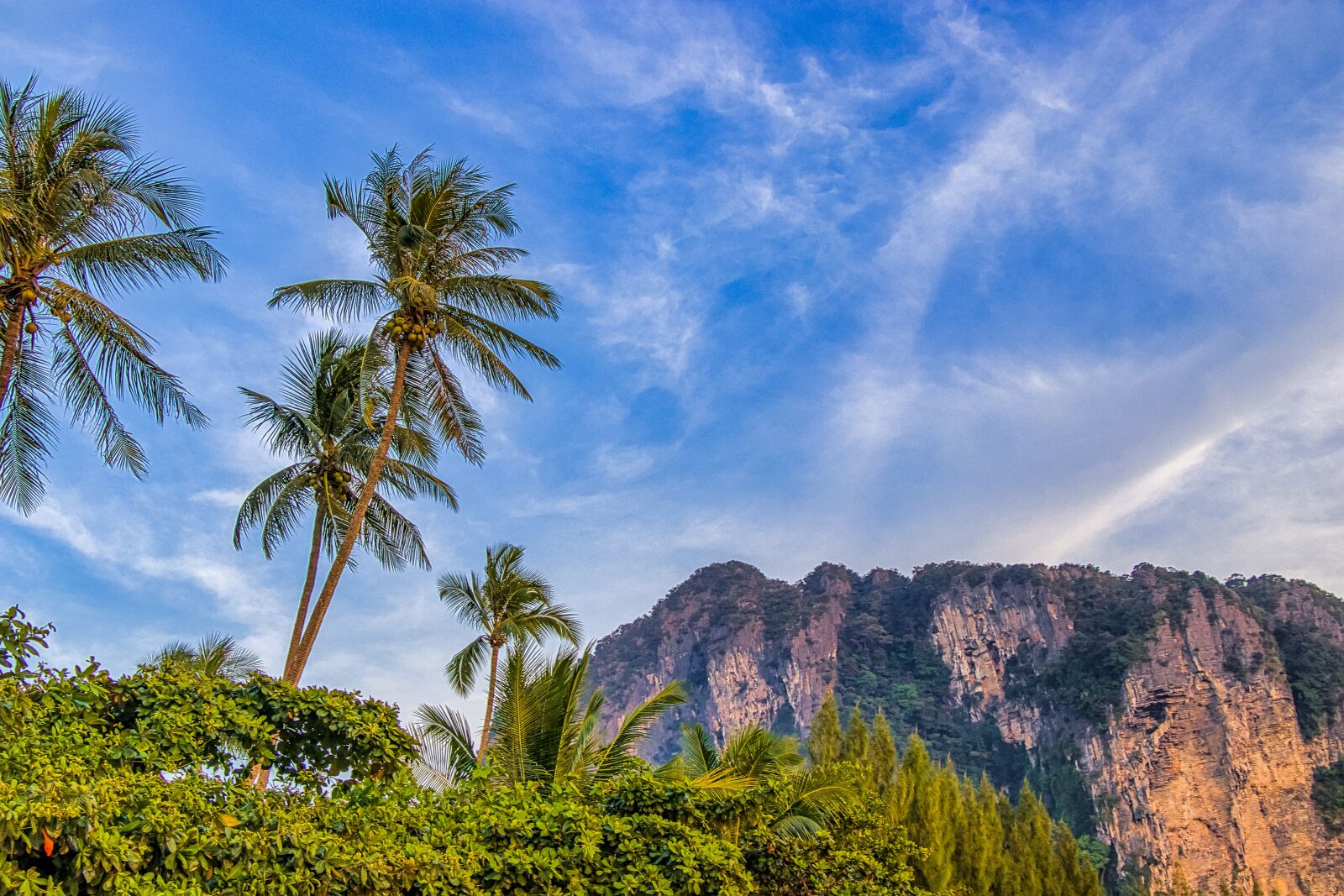 Canon EF-S 18-135mm F3.5-5.6 IS USM sample photo. Thailand, palm trees, summer photography