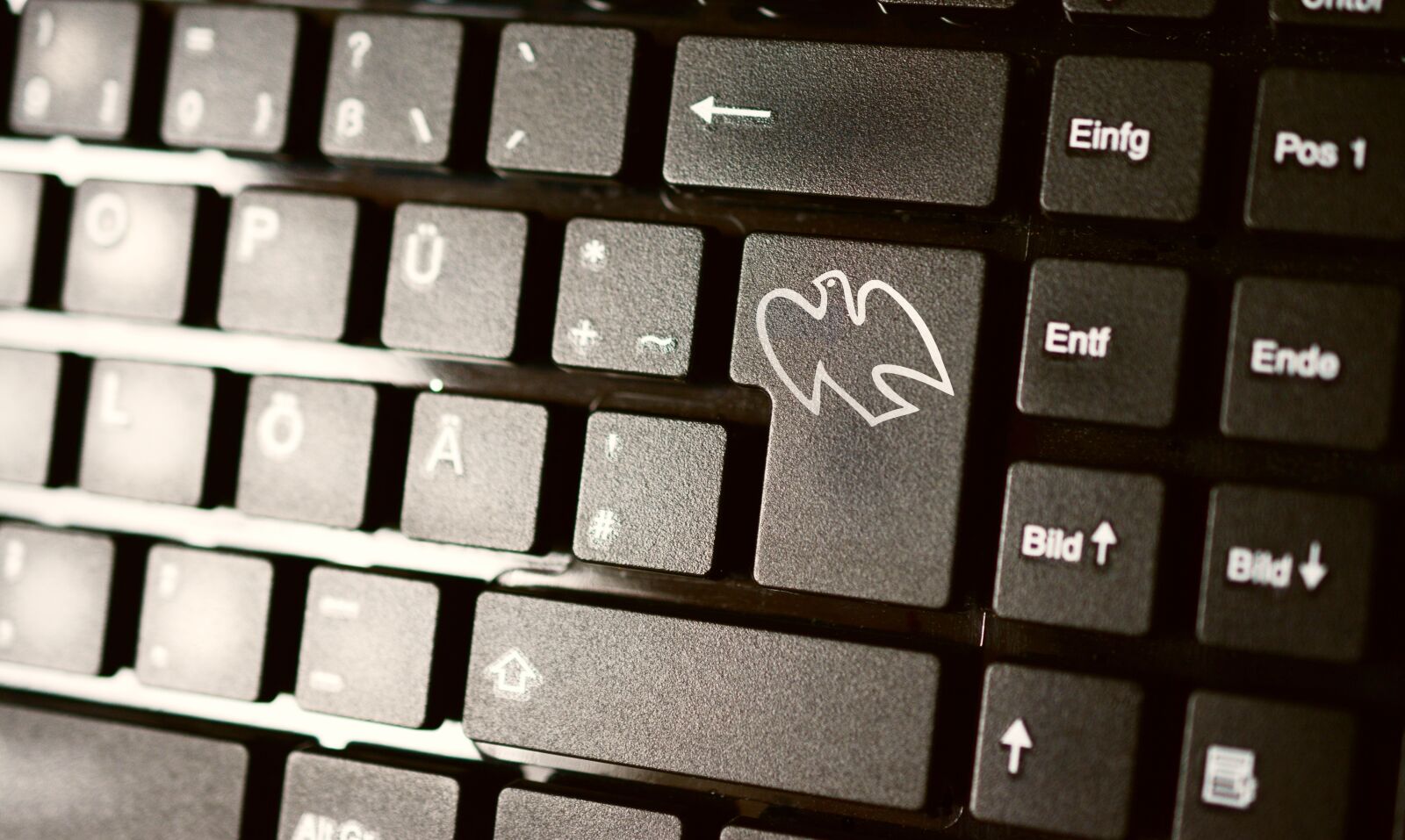 Nikon D5200 sample photo. Keyboard, computer, peace dove photography