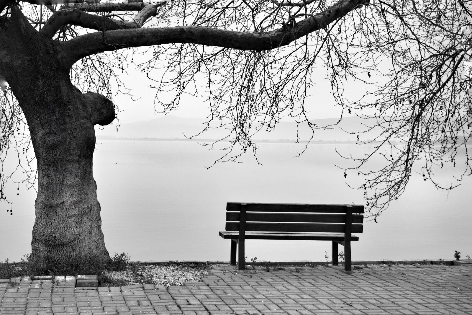 Sony SLT-A65 (SLT-A65V) + Sony DT 18-55mm F3.5-5.6 SAM sample photo. Bench, lakes, trees photography