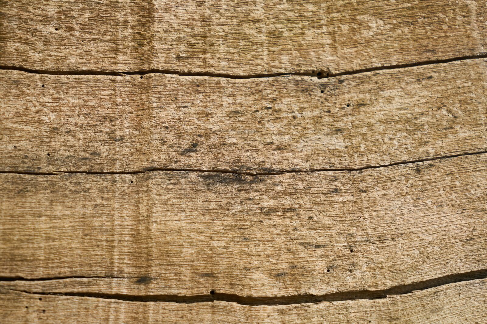 Sony a7R II sample photo. Tree, texture, wood-fibre boards photography