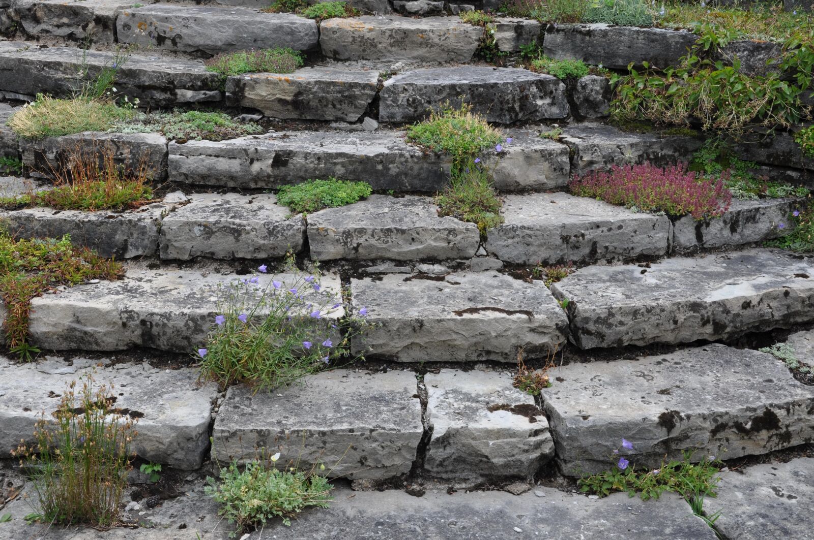 Nikon D90 sample photo. Pierre, outdoor, wall photography