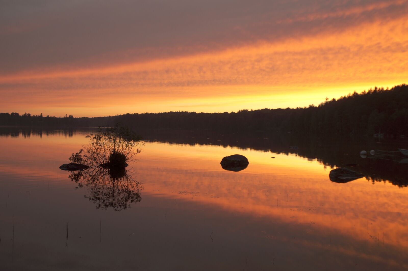 Sony SLT-A58 sample photo. Linden, lake, smaland photography