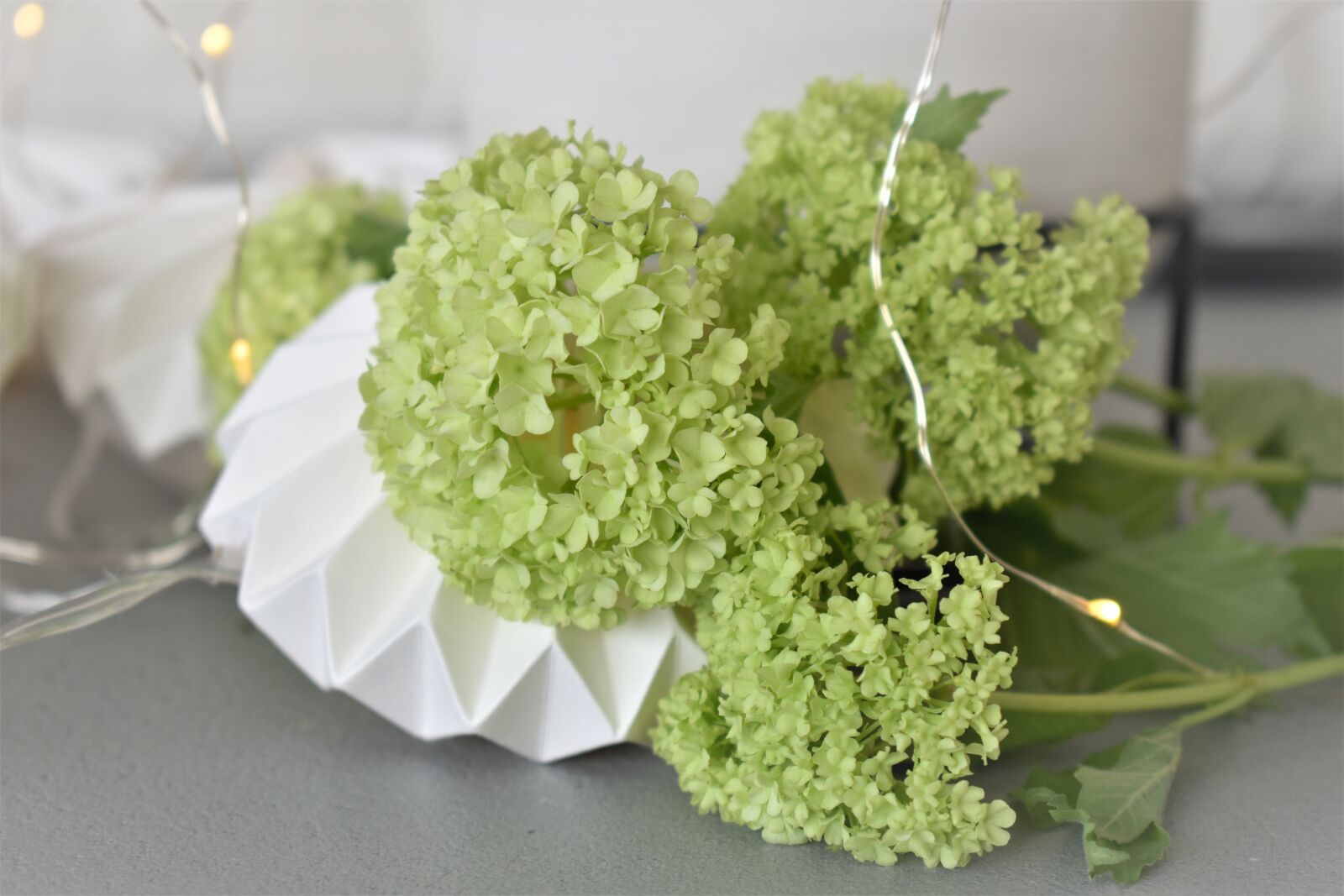 Nikon D5500 sample photo. Decoration, deco, table decorations photography