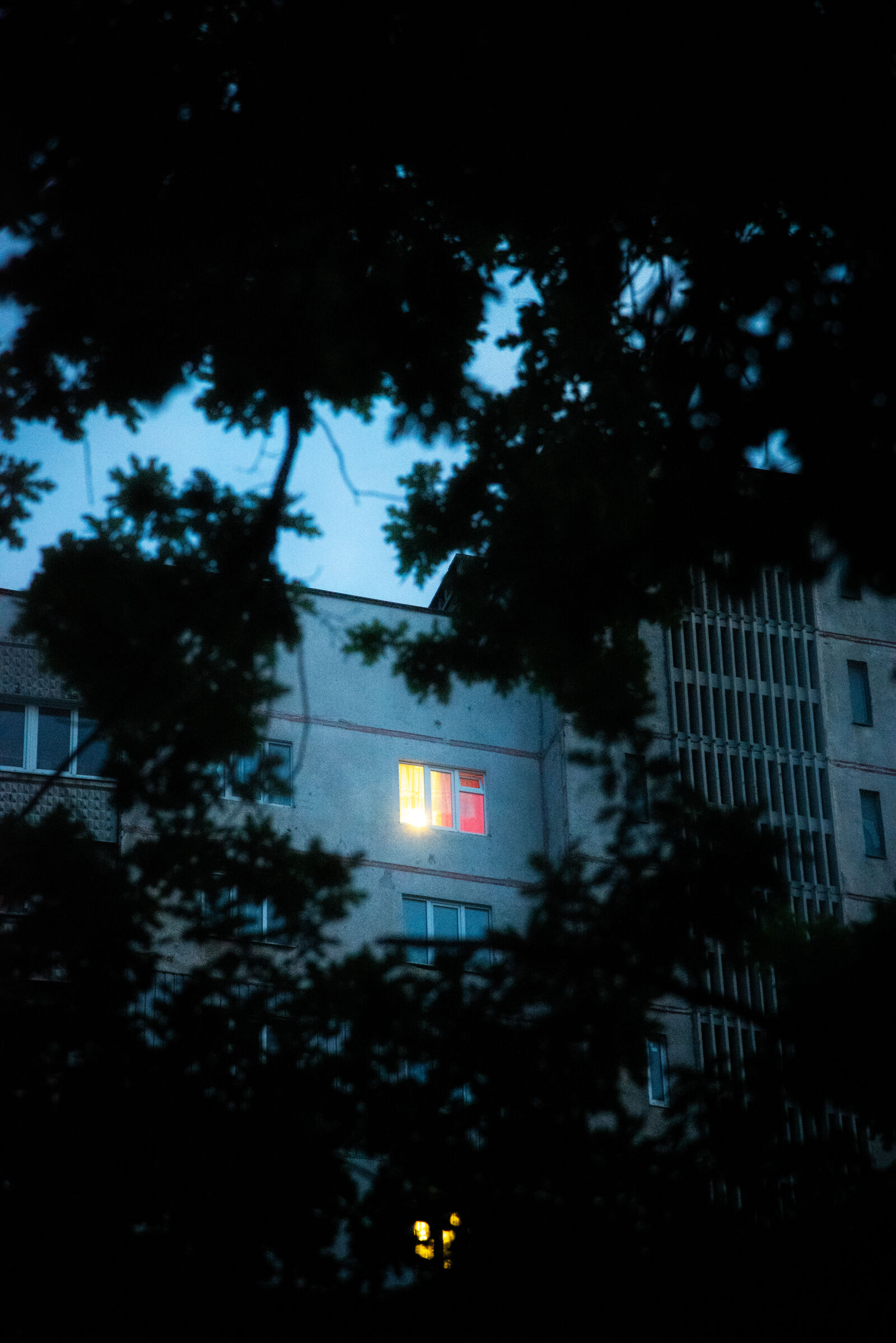 Nikon D750 sample photo