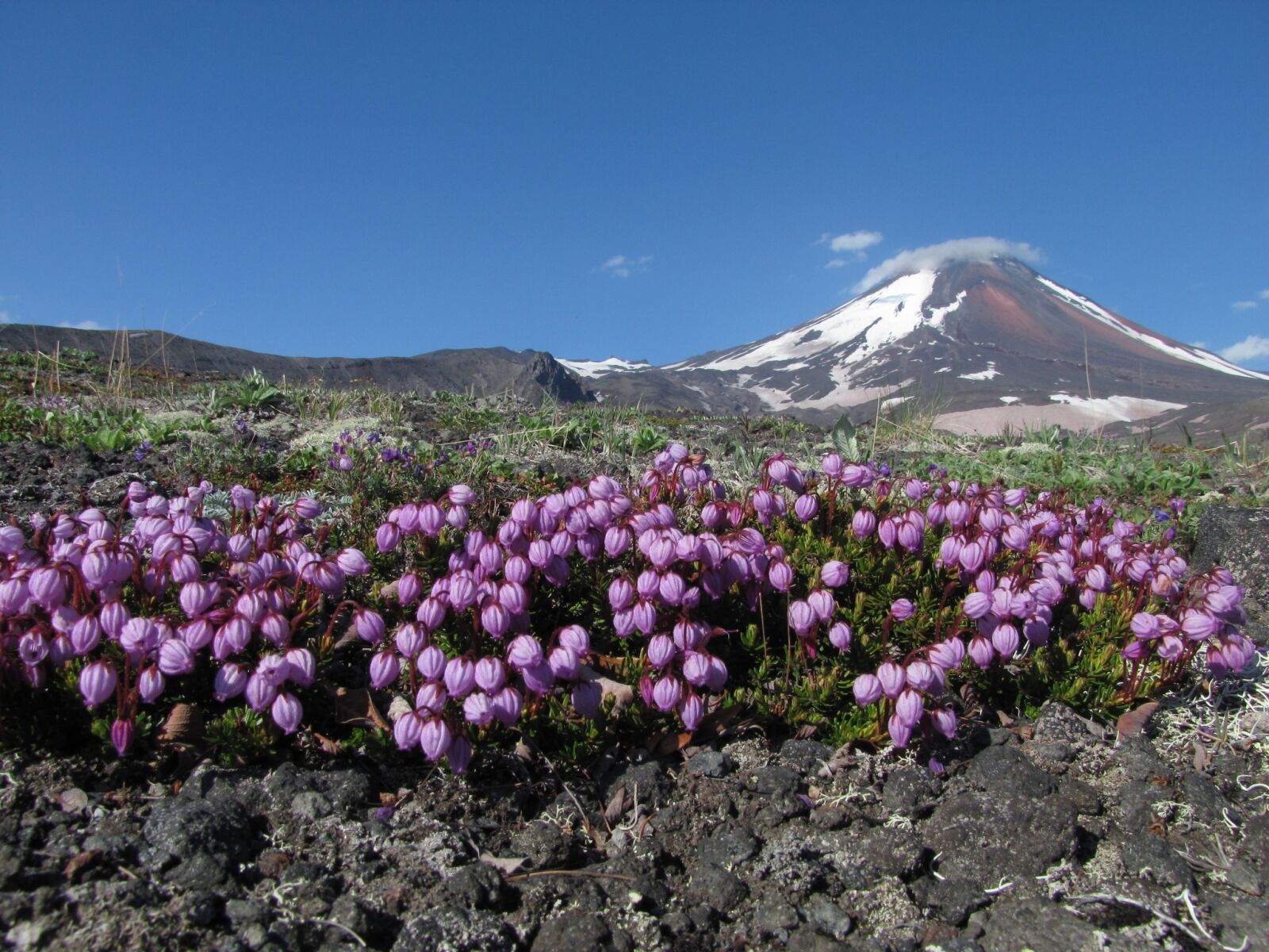 Canon PowerShot SX1 IS sample photo. The volcano avachinsky, kamchatka photography