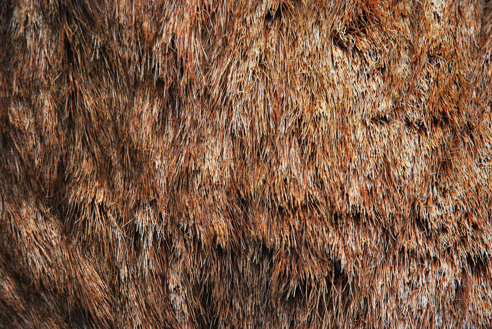 Nikon D80 sample photo